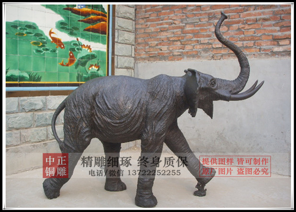 大象5.jpg 大象5.jpg