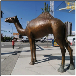 小型駱駝銅雕塑 小型駱駝銅雕塑